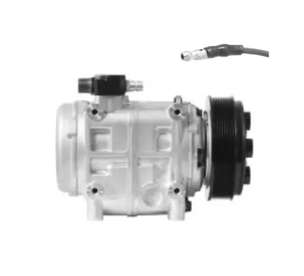 Seltec/Valeo TM31 Compressor Model 10046550 24V with 8 Grooves - MEI 5901V Factory Price