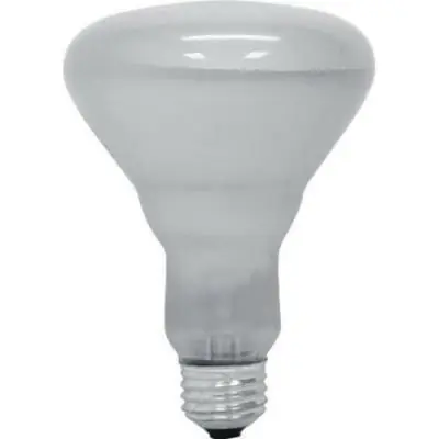 New Release GE Lighting 20331 BR30 Reflector Incandescent Lamp 65-Watt E26 Medium Base 700-Lumens 2600K Frosted Inviting™