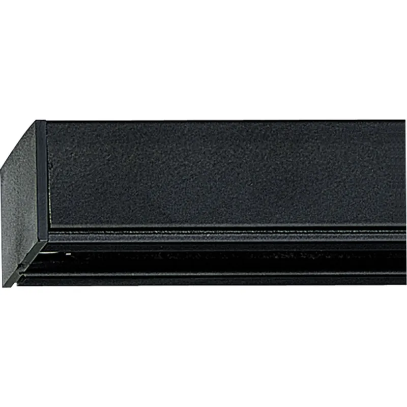 Progress Lighting P9106-31 Alpha Track Section Ceiling Light 120-Volt 20-Amp 12-ft Black Alpha Trak® Markdown
