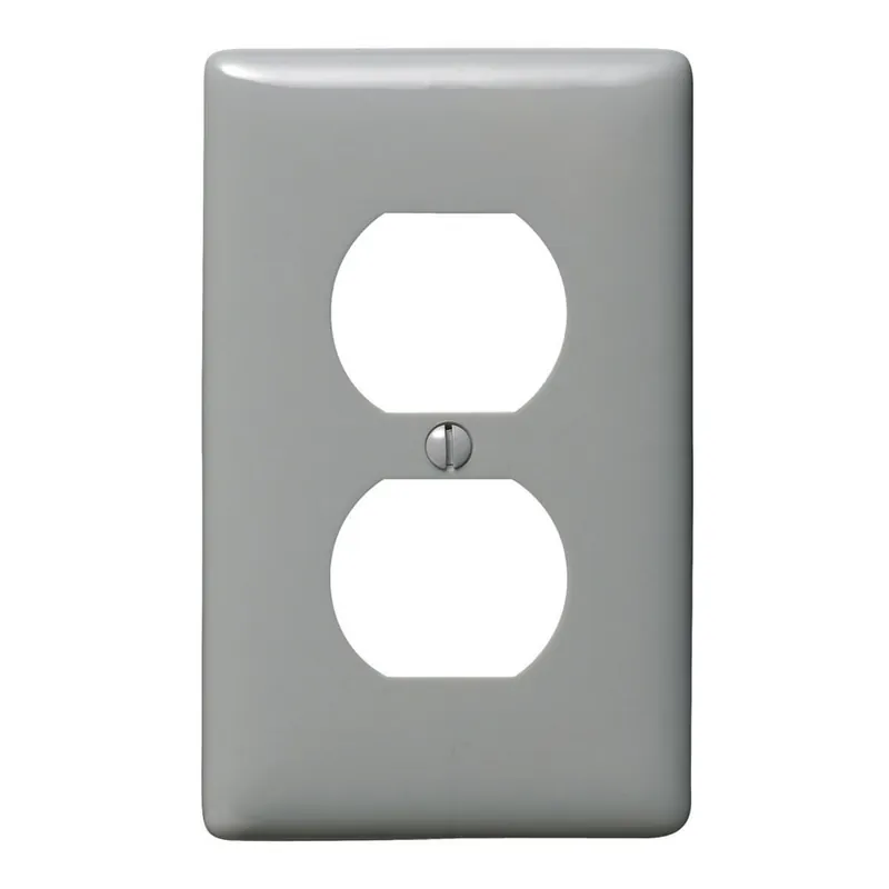 Hubbell-Wiring NP8GY Nylon Screw Mount Standard Size 1-Gang Wallplate 1-Duplex Receptacle Gray HomeSelect® Fast Shipping
